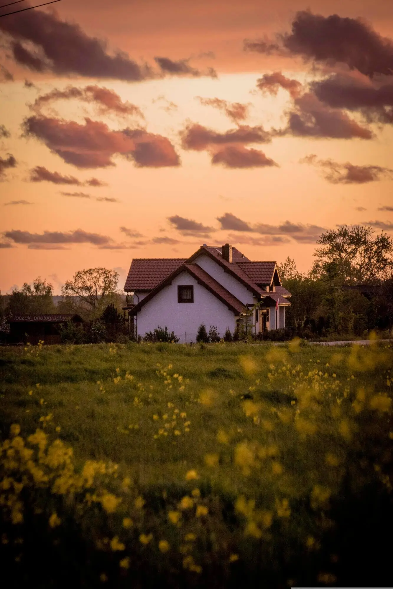 Top 3 Challenges Faced by Accidental Landlords in Asheville, NC